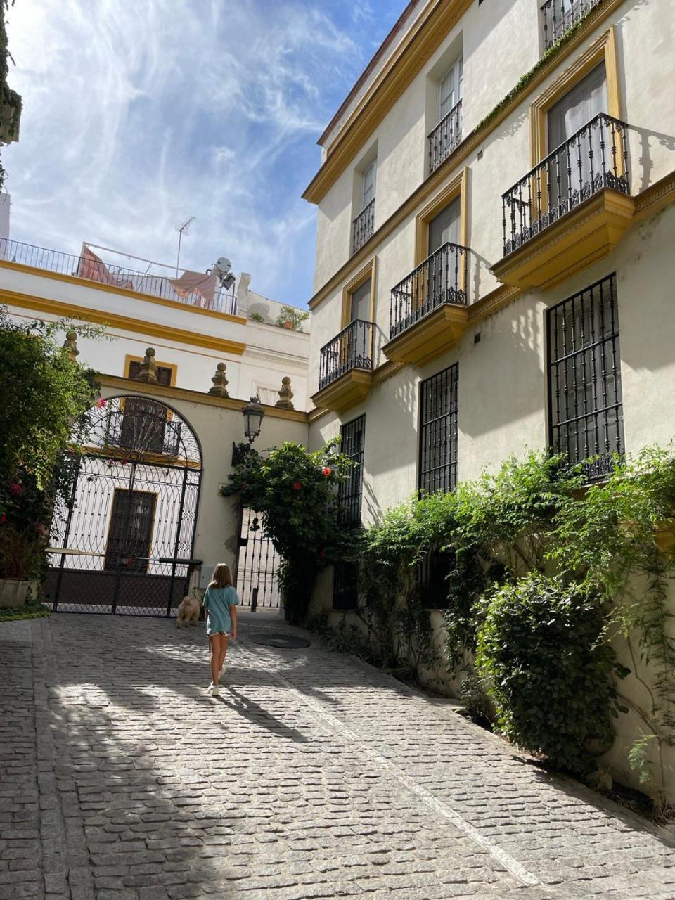 Sevilla Centro-Casco Antiguo -Vidrio 36 Exterior photo